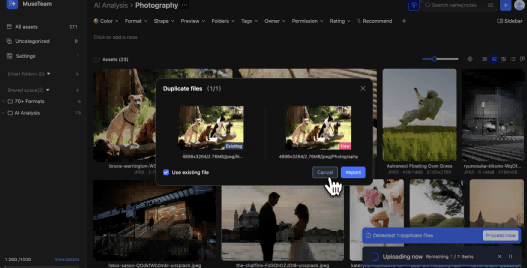 How Are Duplicate Files Detected During Upload? Deduplication Feature Explained 