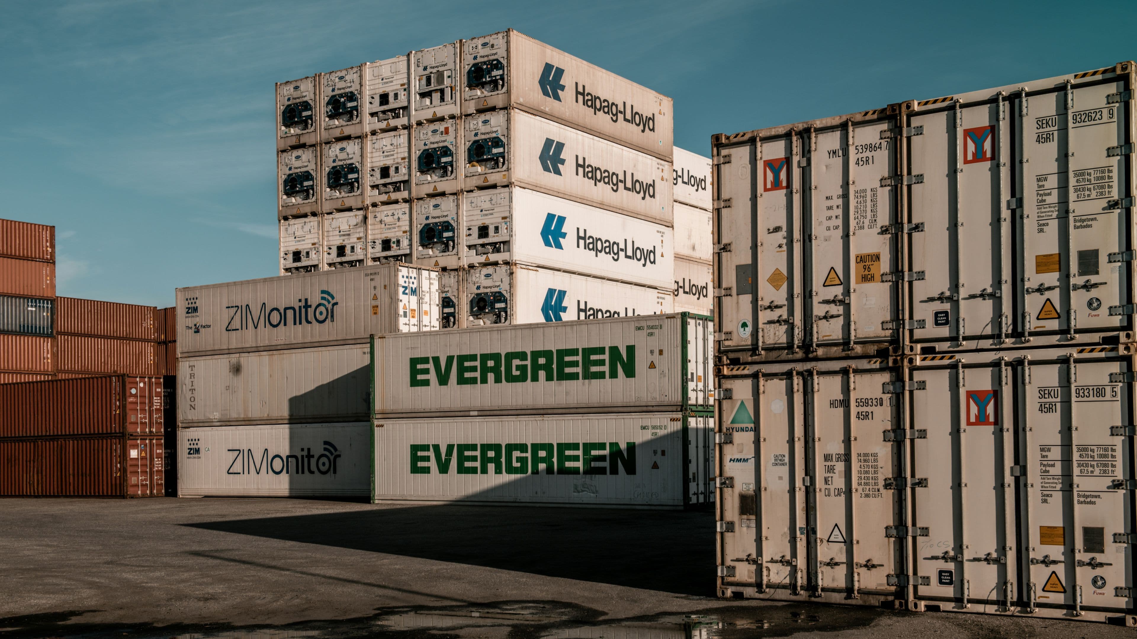 MuseDAM Blog | Global Content Sync for Export Traders