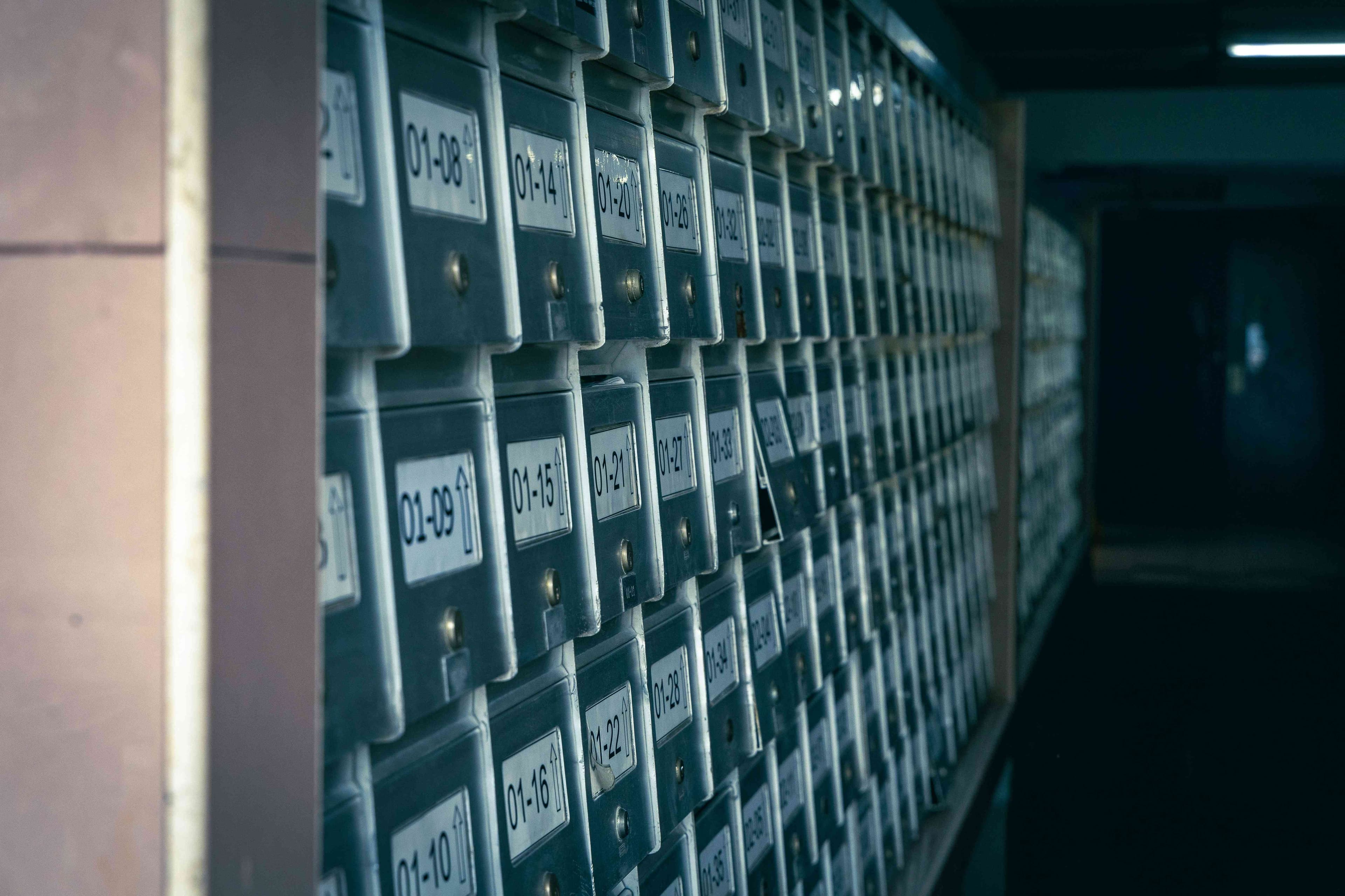 MuseDAM Blog | How to Sort 100K Digital Files Fast?